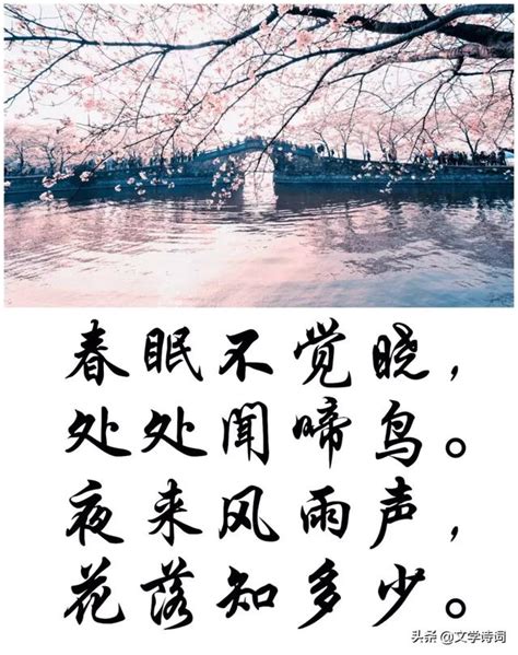 落花人獨立，微雨燕雙飛。|落花人獨立，微雨燕雙飛。 （南宋晏幾道《臨江仙》全文翻譯賞。